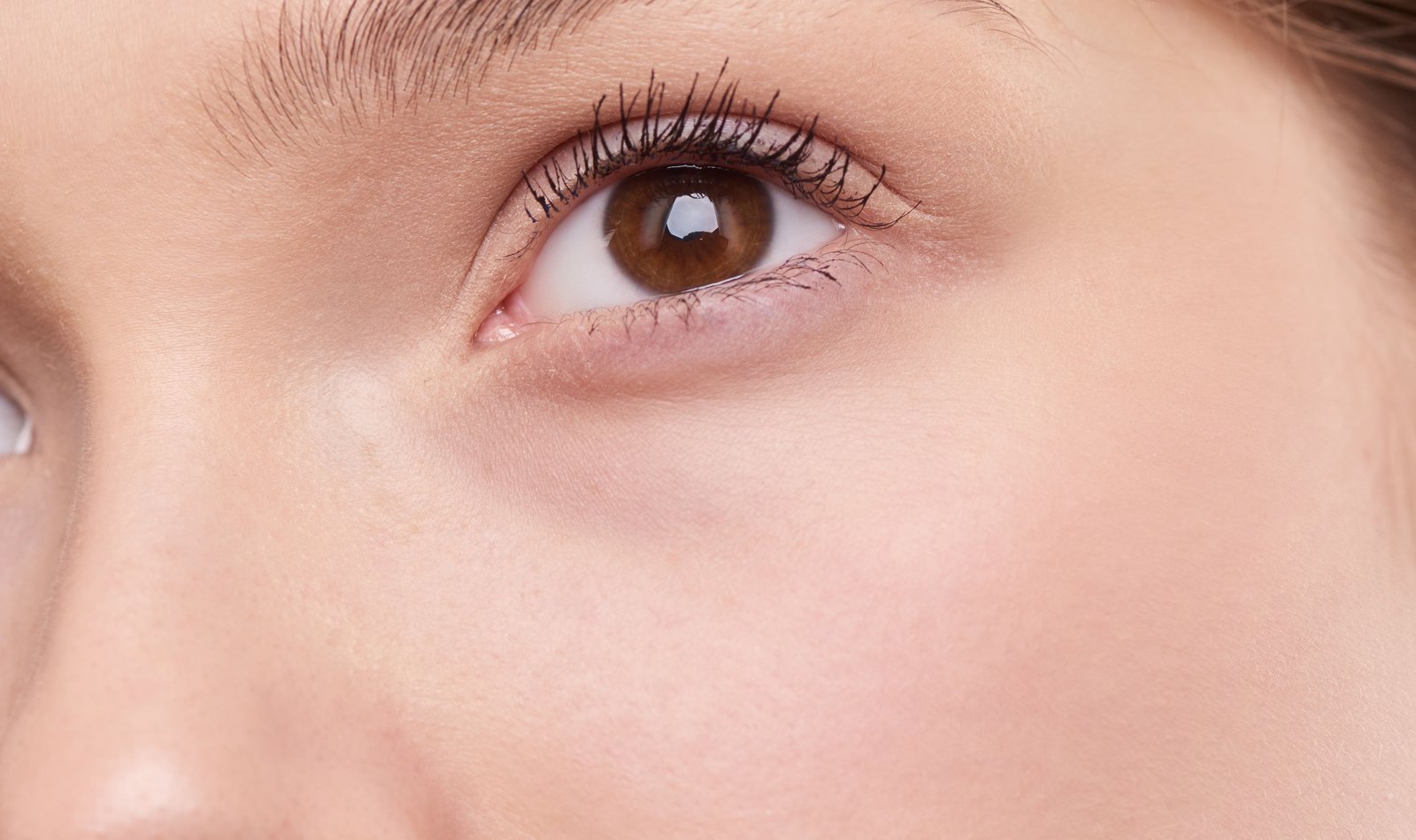 Close study of the eye area and brow