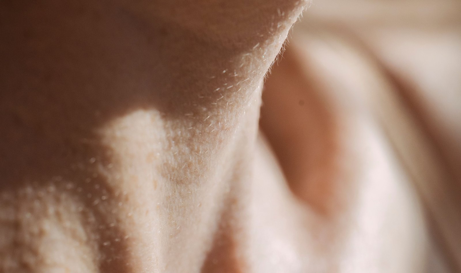 Close study of skin texture across the jaw and neck